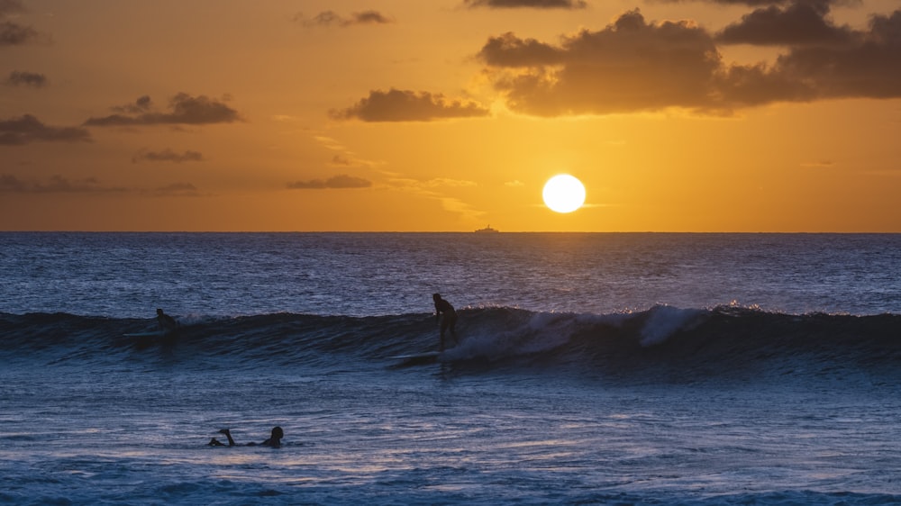 people surfing in the sea