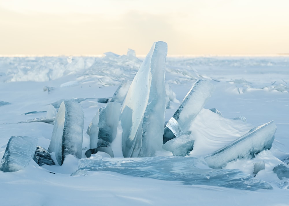 icebergs in the water