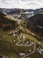 a landscape with buildings and trees