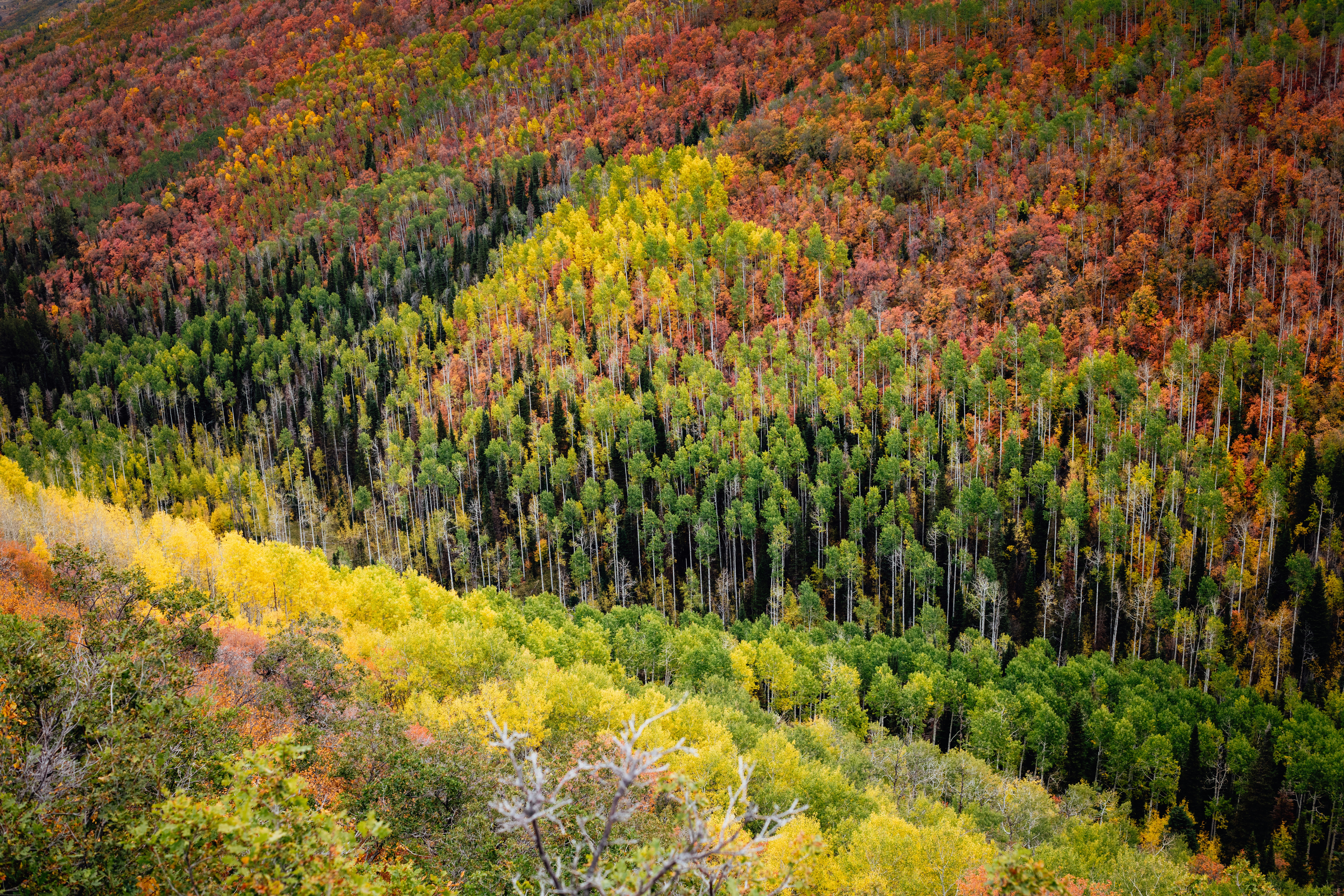 Photo by worldsbetweenlines