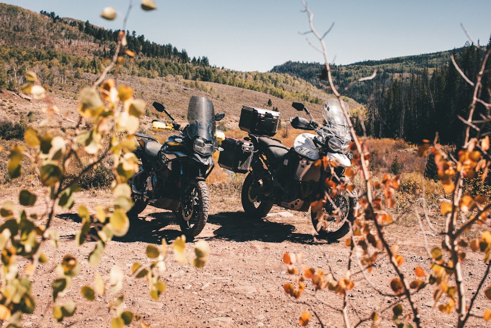 motorcycles parked in a field