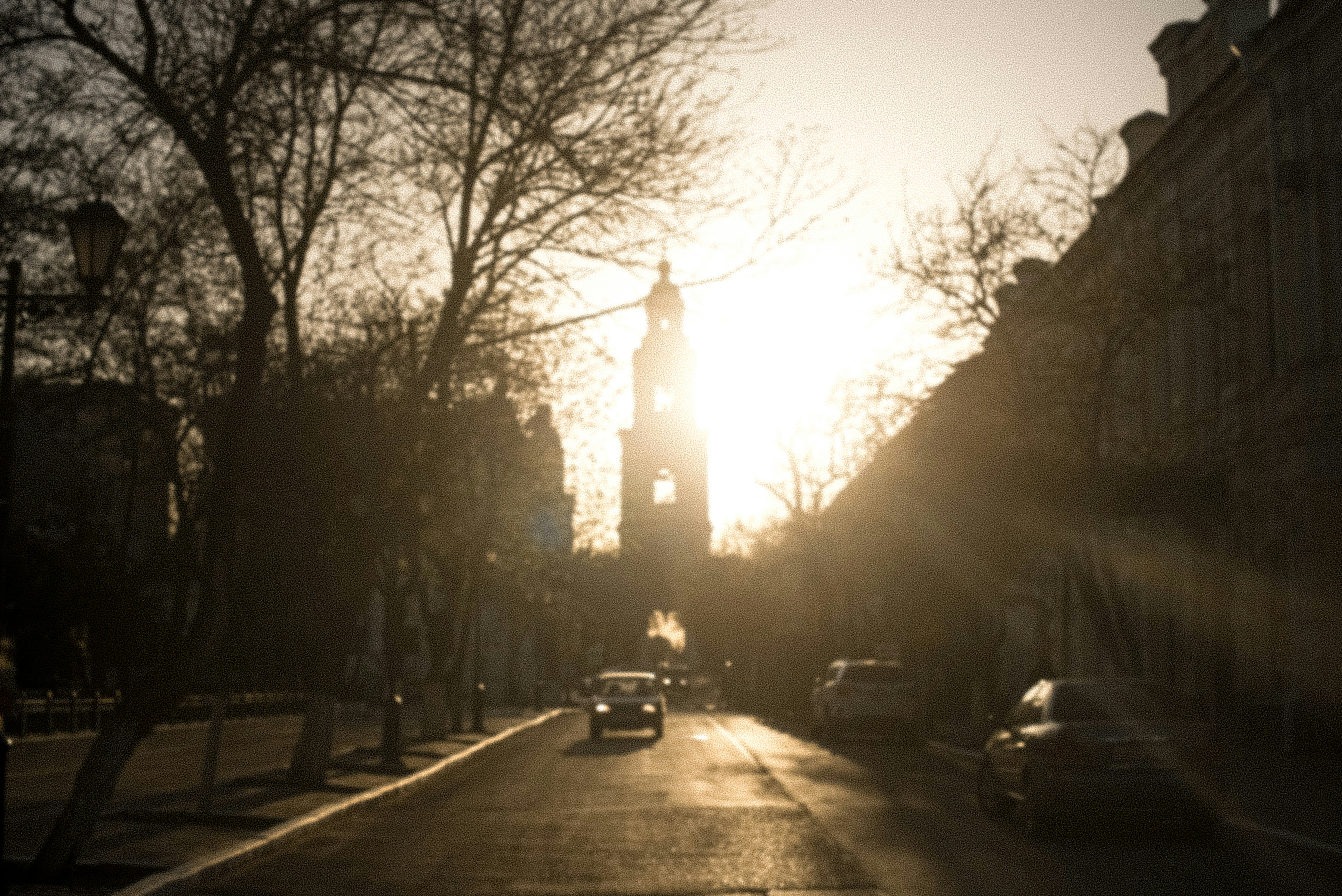 a street with cars and trees on the side