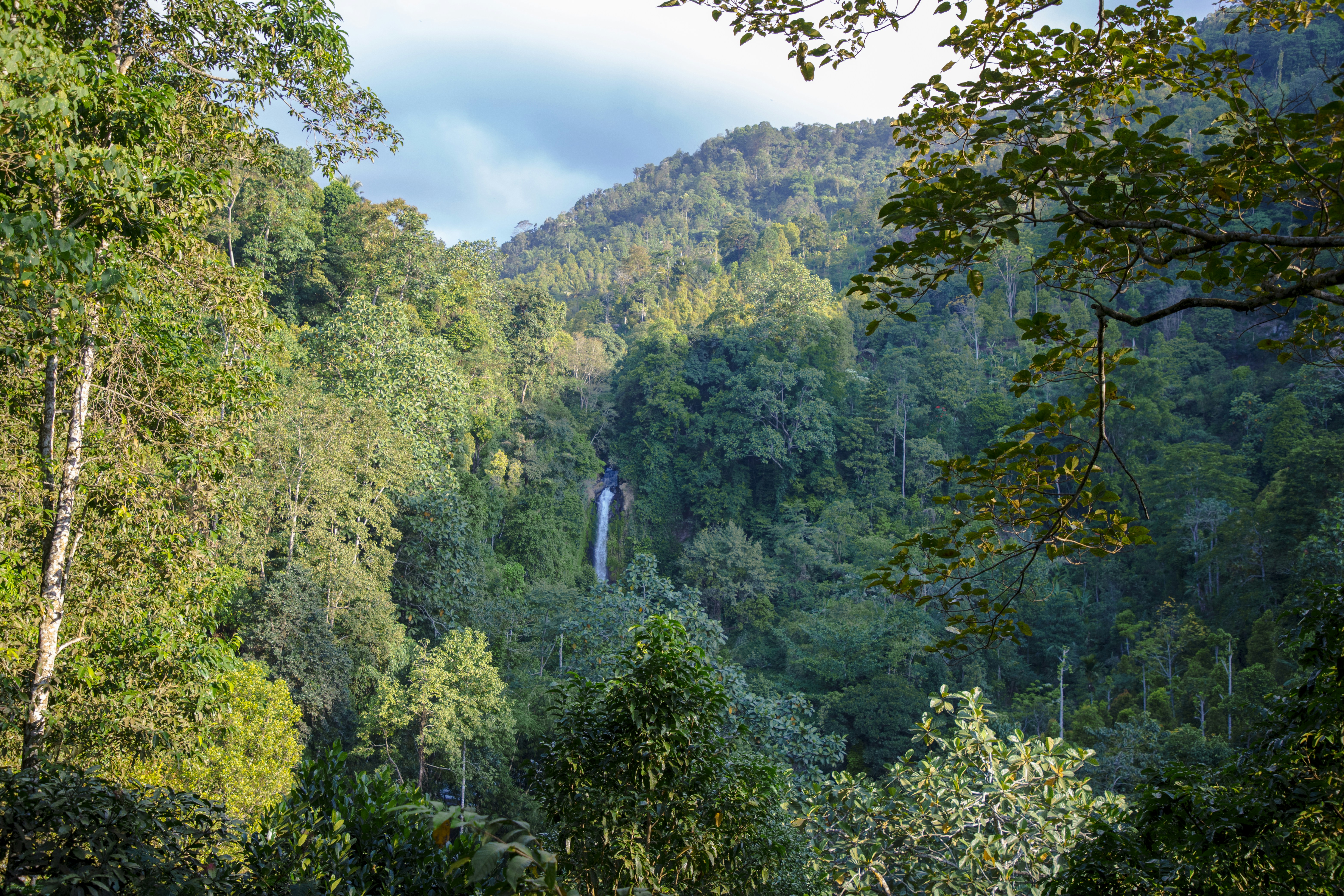 Photo by bahr_splash