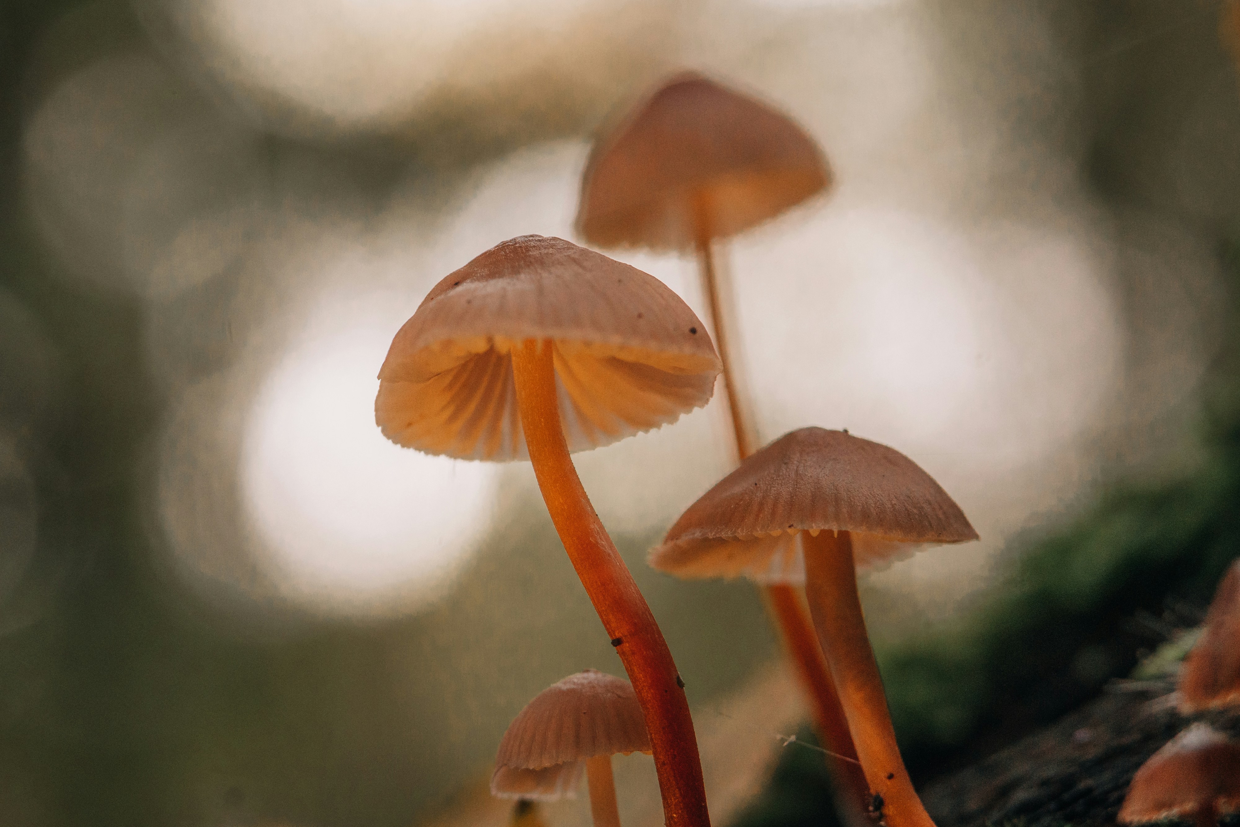 Photo by masoodaslami