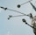 Several surveillance cameras are mounted on a tall metal pole, with long arms extending outward. Next to the cameras is a road sign indicating no bicycles. The sky is mostly clear with a few wispy clouds.