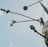 Several surveillance cameras are mounted on a tall metal pole, with long arms extending outward. Next to the cameras is a road sign indicating no bicycles. The sky is mostly clear with a few wispy clouds.