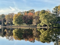 A serene lake reflecting autumn trees with golden and red leaves.