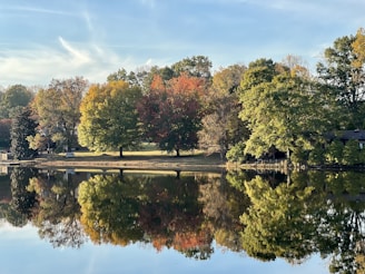 A serene lake reflecting autumn trees with golden and red leaves.