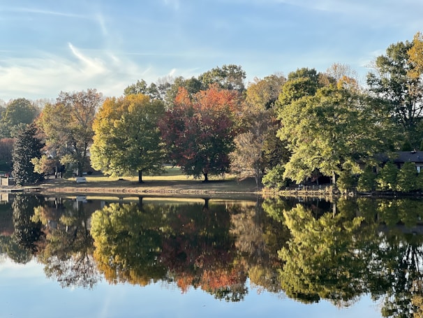 A serene lake reflecting autumn trees with golden and red leaves.