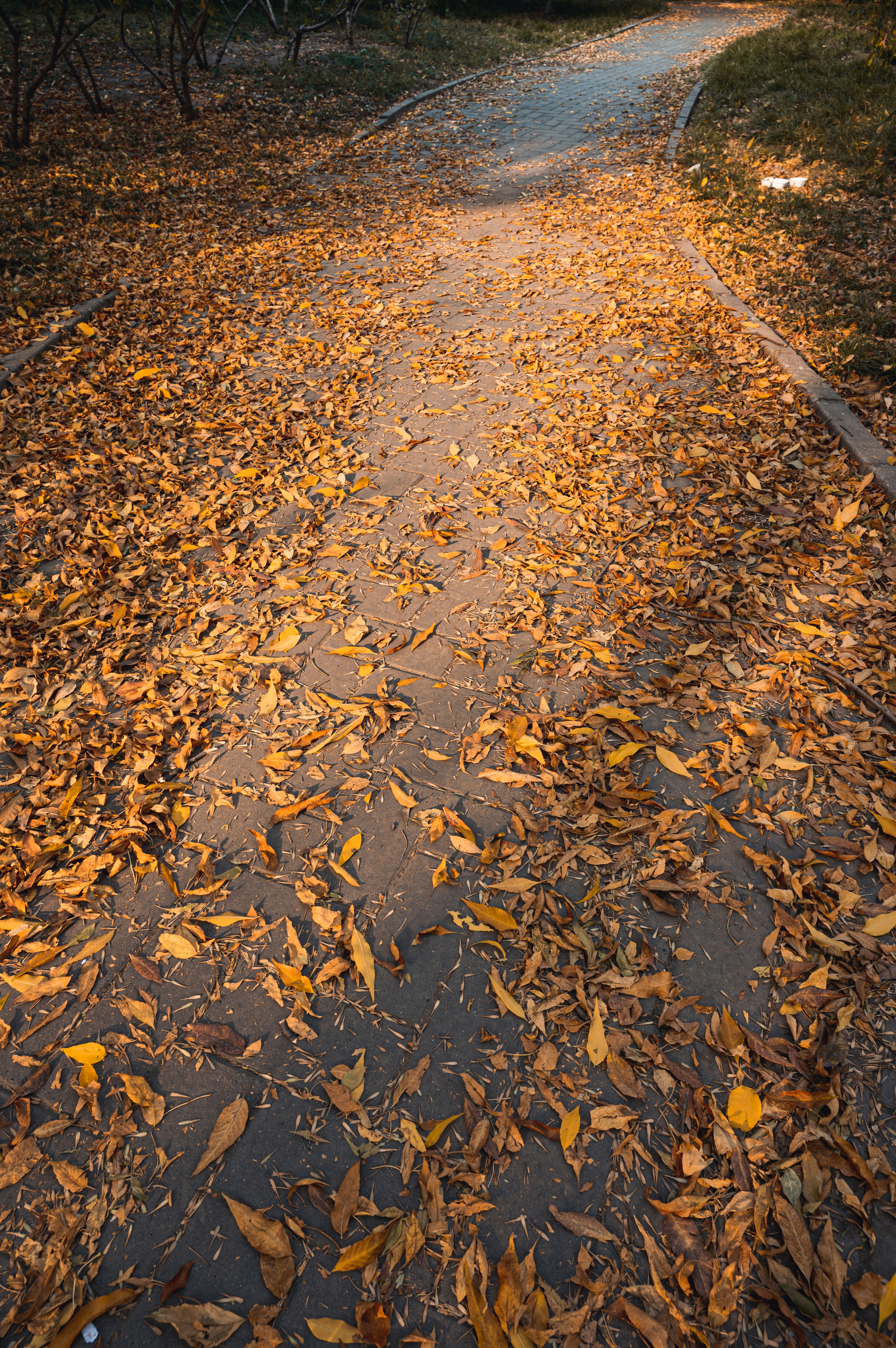 Photo by peek_a_boo_who