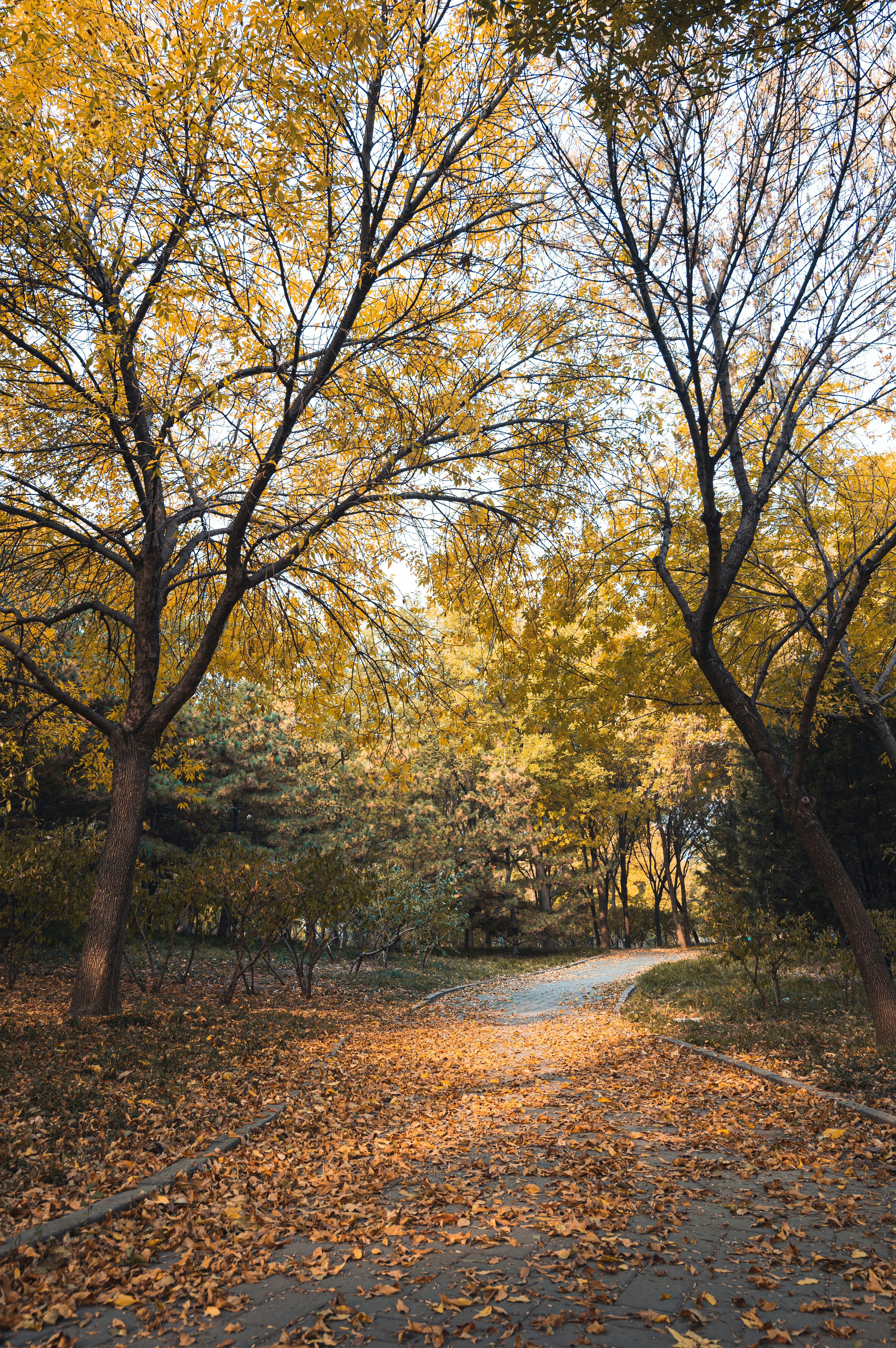 Photo by peek_a_boo_who