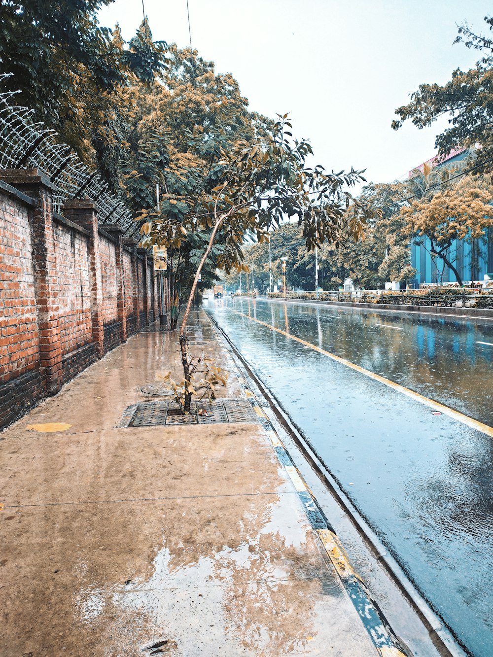 a sidewalk with a pool of water