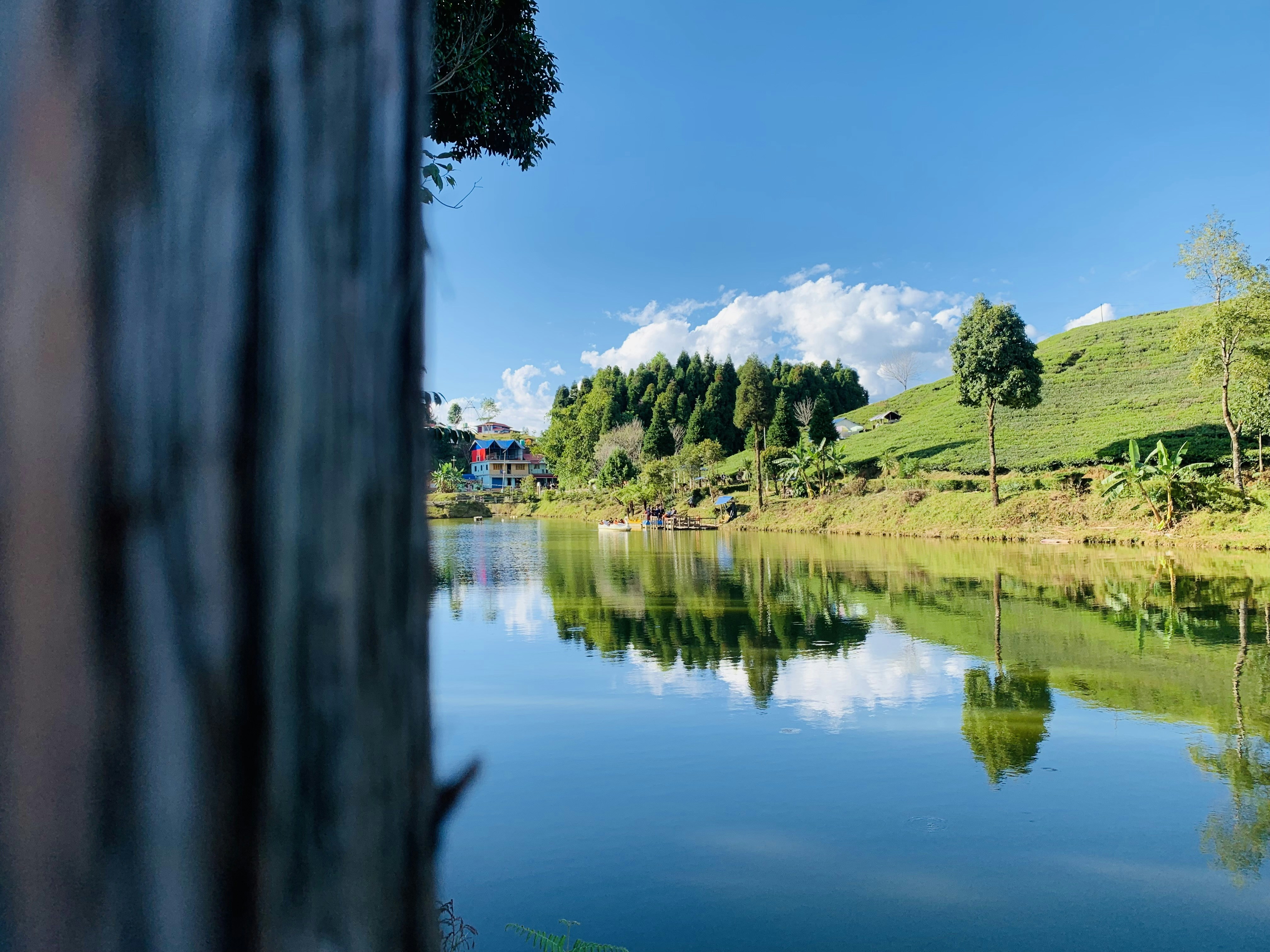 Photo by alokparajuli