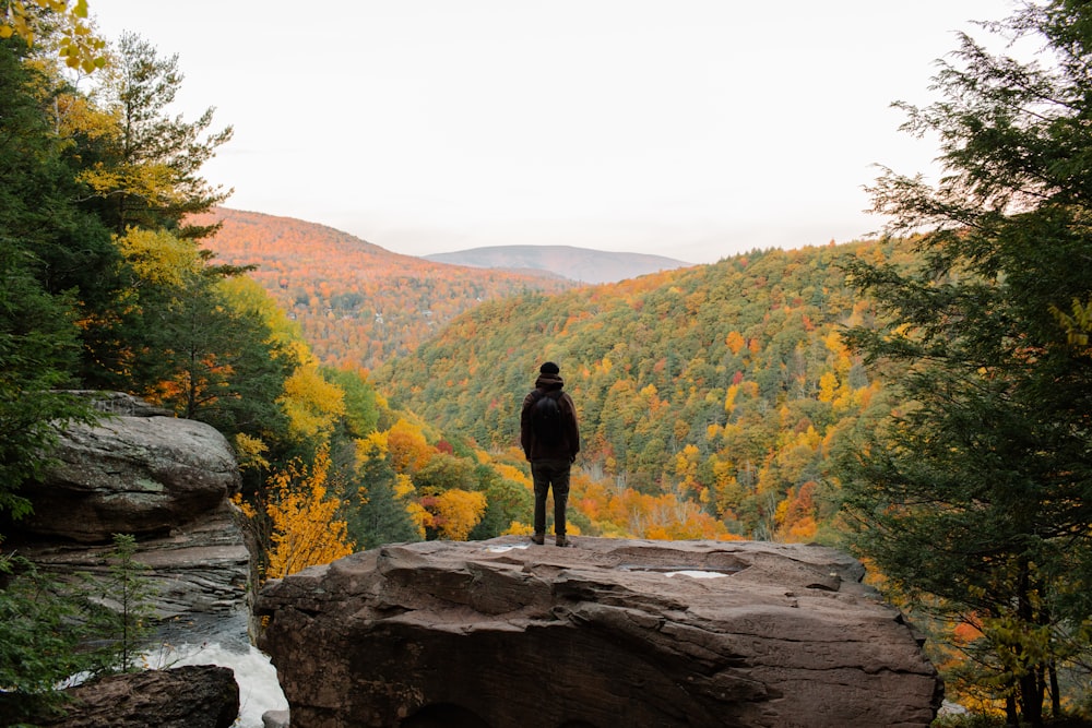 a person standing on a rock overlooking a forest