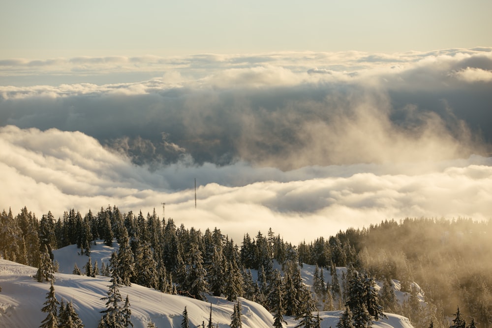 a snowy mountain with trees and clouds