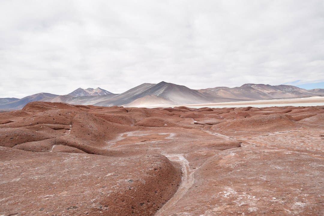 a dirt road in a desert,