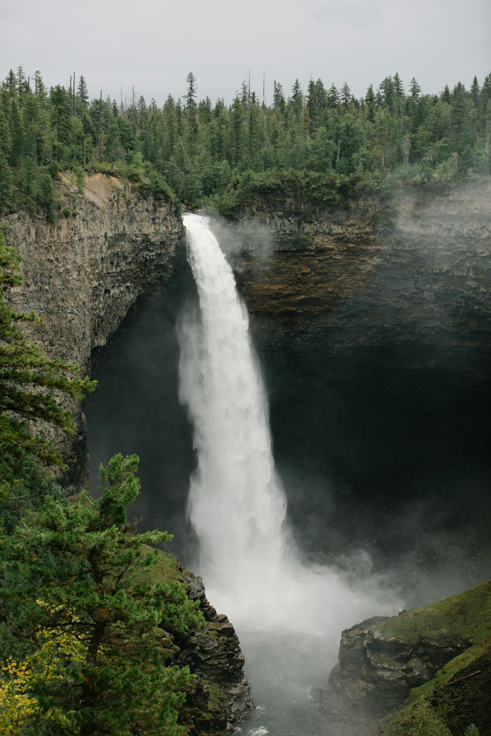 Wells Gray Provincial Park with trees around it