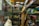 A cluttered room filled with various items on display, including a mannequin torso and a headless mannequin, shelves full of boxes, toys, and collectibles. The space is cramped with items stacked haphazardly on shelves and in glass cabinets. There is a mix of old electronics, model cars, and other vintage memorabilia.
