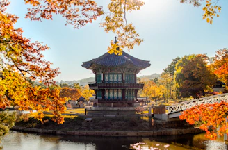 a pagoda with trees around it
