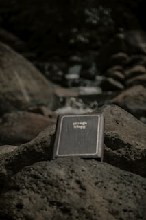 A worn leather-bound book resting on a mossy rock beside a sparkling mountain stream.