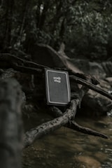 A book rests on intertwined tree roots above a stream in a forest setting. The background is lush with dark green foliage, and the atmosphere is tranquil and secluded.
