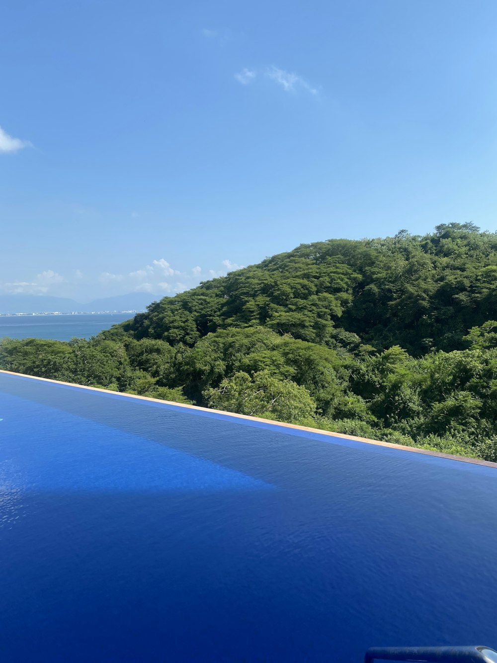 a pool of water with trees around it