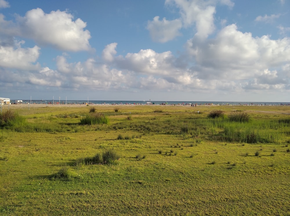 Un gran campo abierto