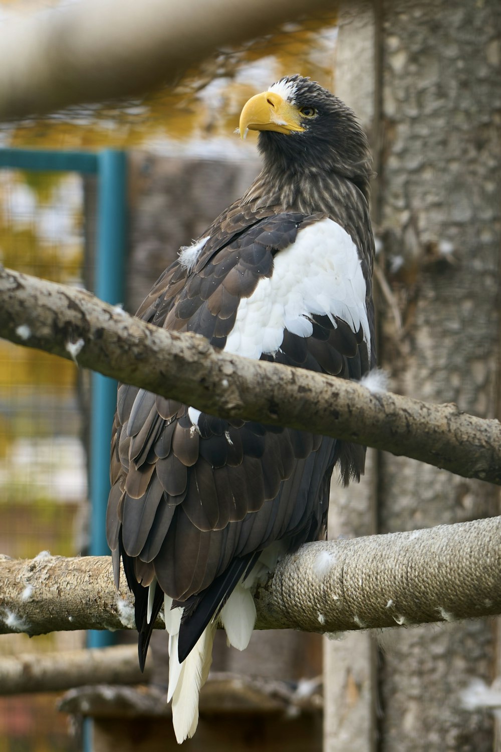 a bird sitting on a branch