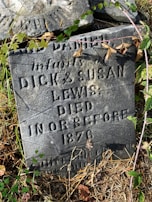An old gravestone partially covered with overgrown vines and foliage. The stone is inscribed with the names Dick and Susan Lewis and indicates they died in or before 1876. The gravestone appears weathered, with visible cracks and surface erosion.