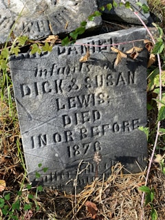 An old gravestone partially covered with overgrown vines and foliage. The stone is inscribed with the names Dick and Susan Lewis and indicates they died in or before 1876. The gravestone appears weathered, with visible cracks and surface erosion.