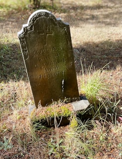 A weathered, moss-covered tombstone stands amidst tall grass in a sunlit clearing. The gravestone bears an inscribed cross at the top and faintly visible text, indicating it marks a burial site.
