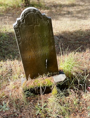 A weathered, moss-covered tombstone stands amidst tall grass in a sunlit clearing. The gravestone bears an inscribed cross at the top and faintly visible text, indicating it marks a burial site.