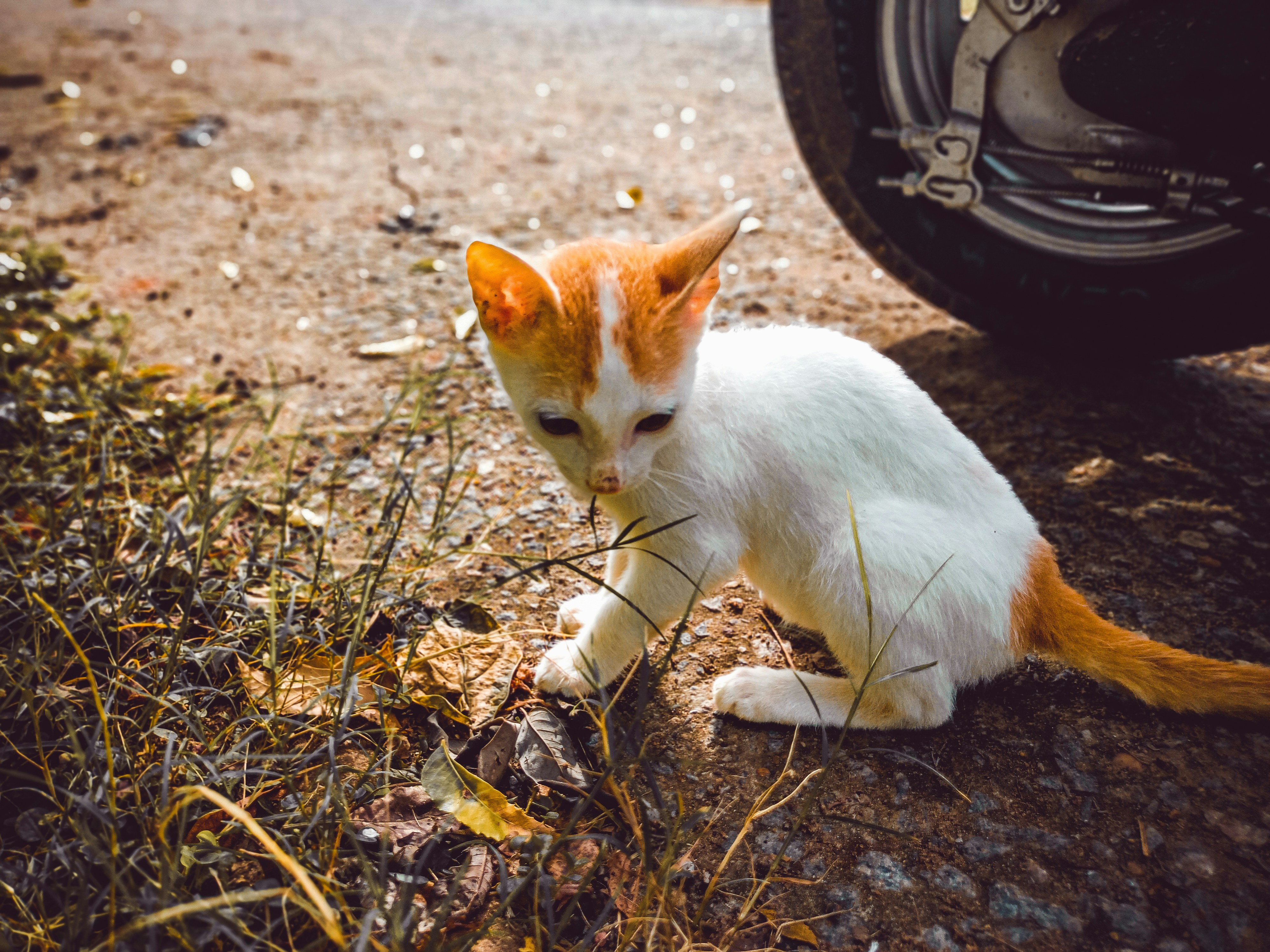 Photo by deeptesh_98