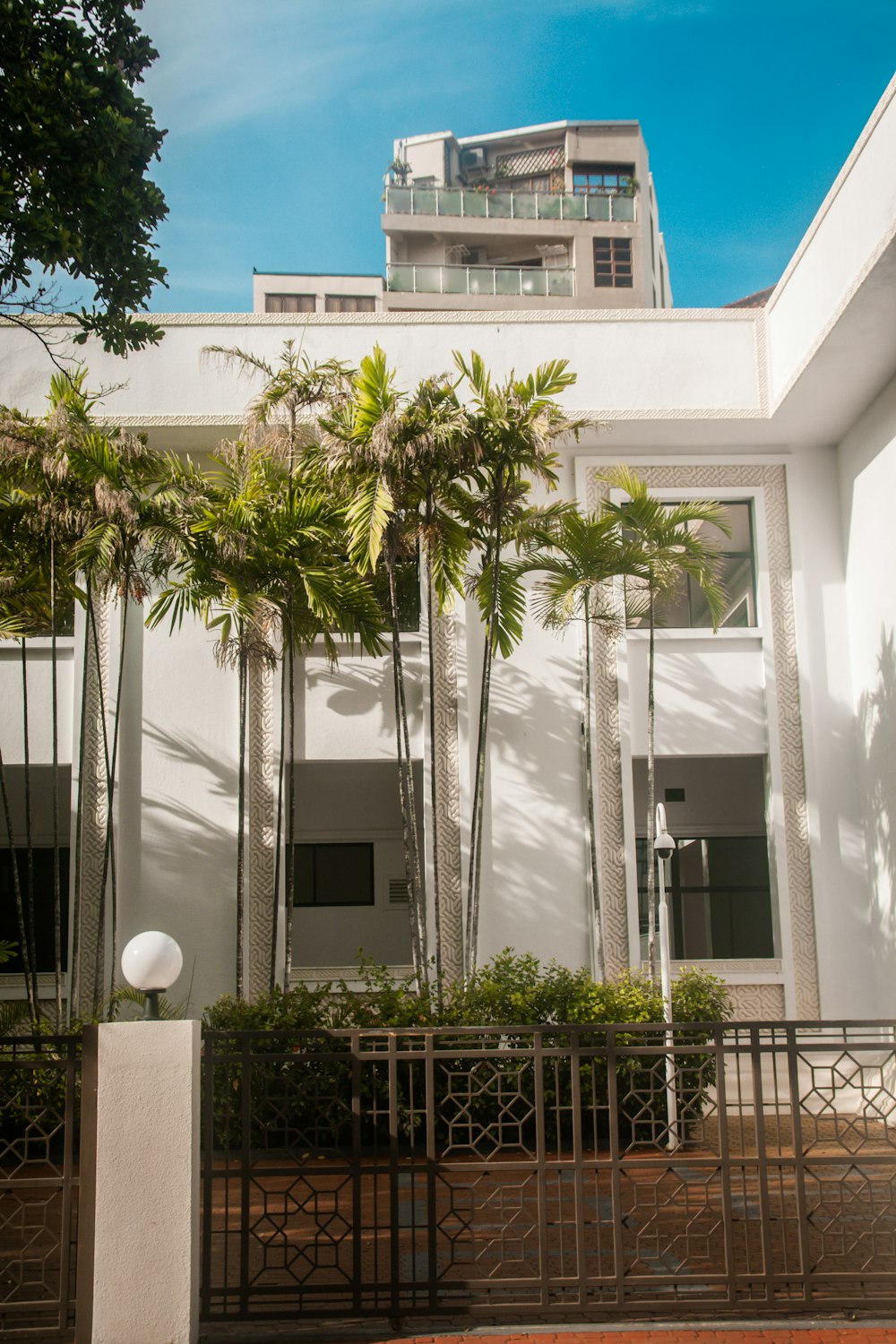 um edifício com palmeiras