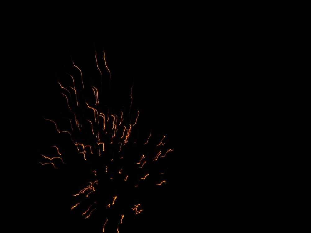 a firework in the night sky