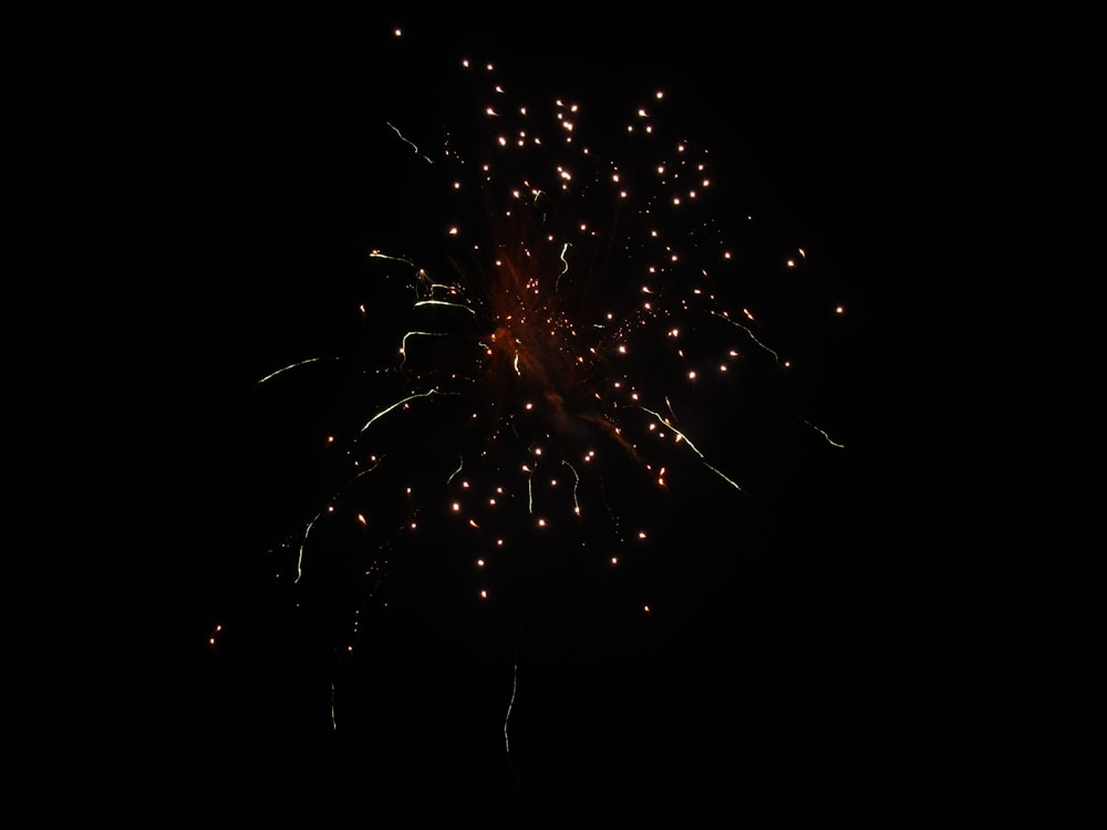 fireworks in the night sky