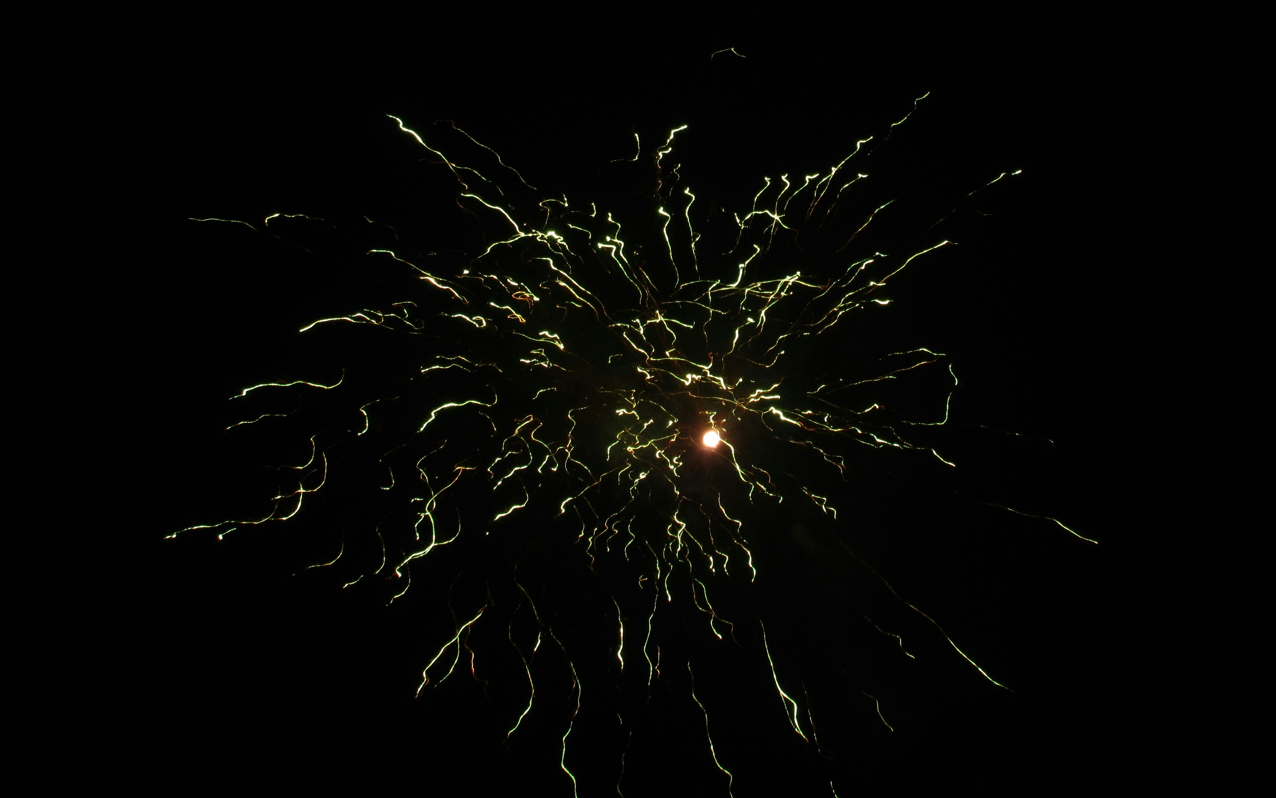 Photo by sreeram_adithya