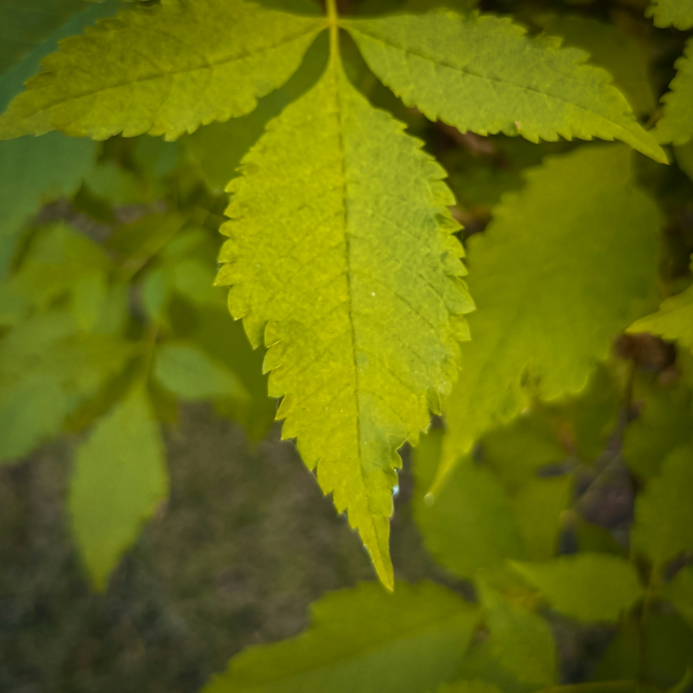 Photo by moin_garana