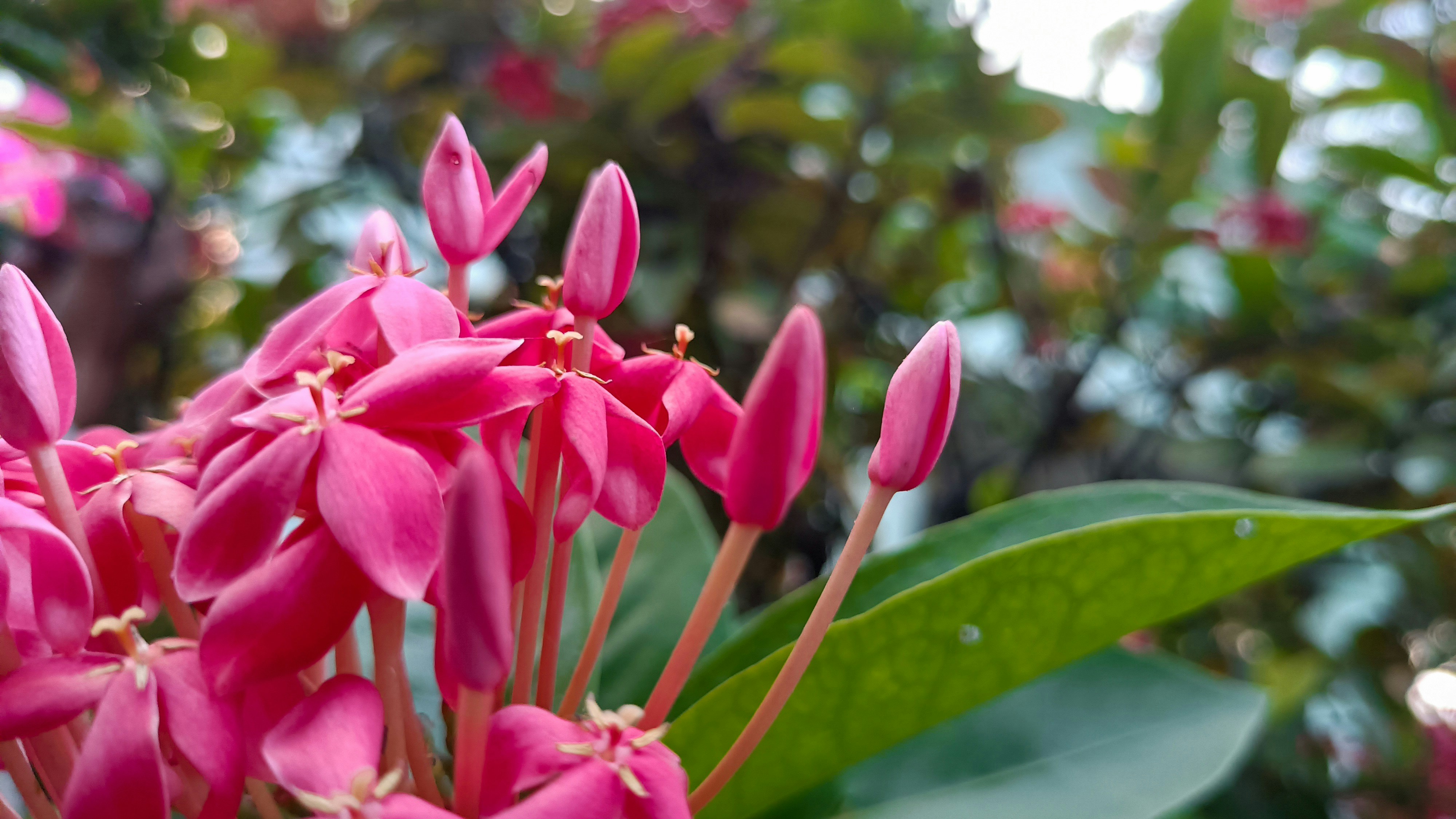 Photo by moin_garana