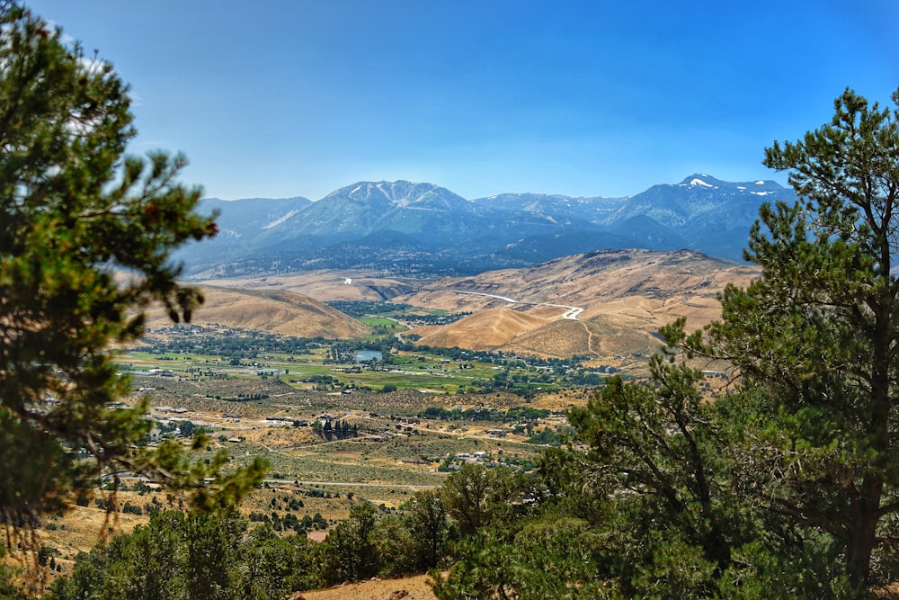 a landscape with trees and mountains in the background