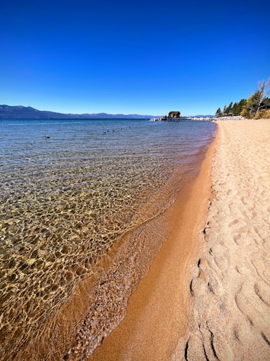 a sandy beach with a body of water and a hill with trees