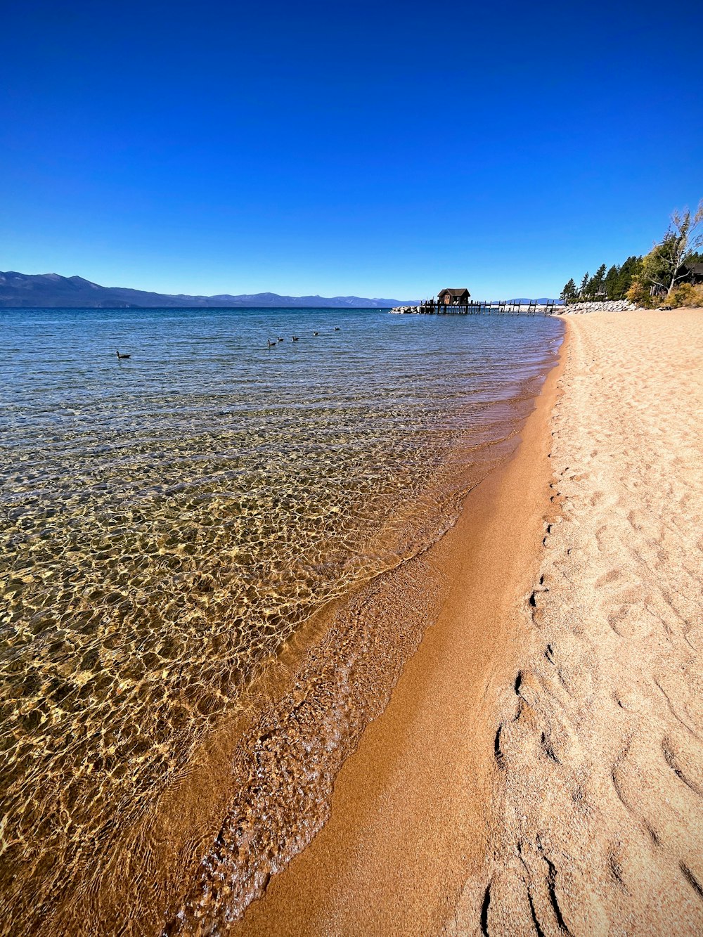 une plage de sable avec un plan d’eau et une colline avec des arbres