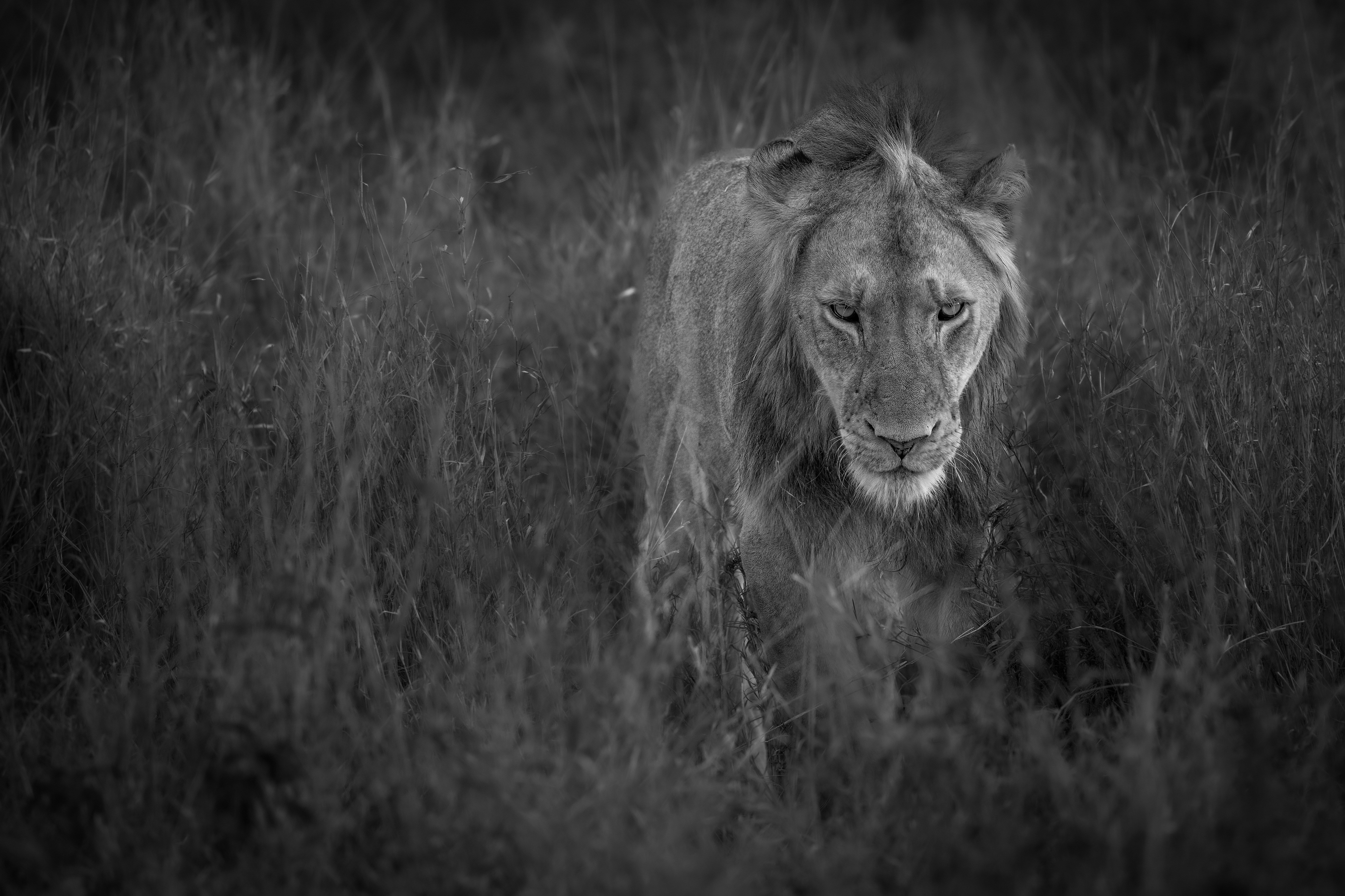 Photo by vincentvanzalinge