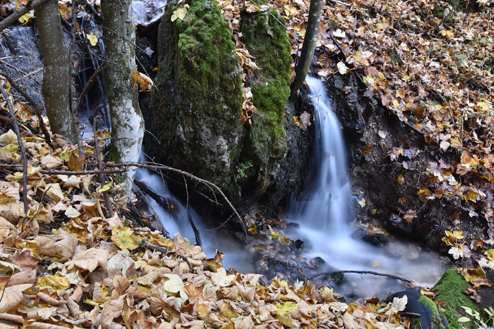 a small waterfall in a forest