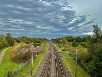 train tracks with trees and grass