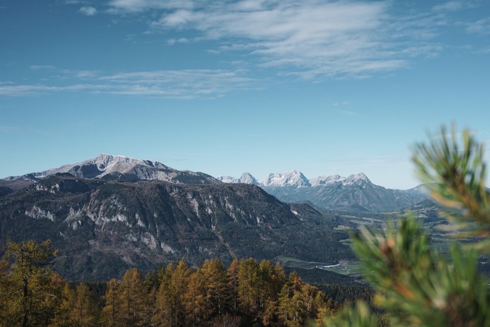 a mountain range with trees