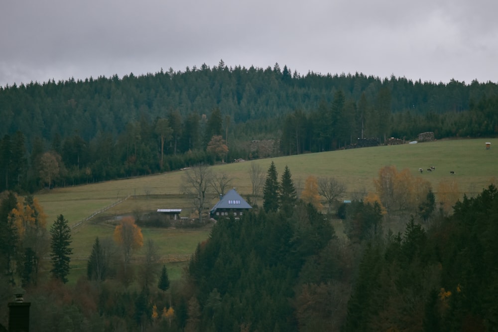 a house in a field