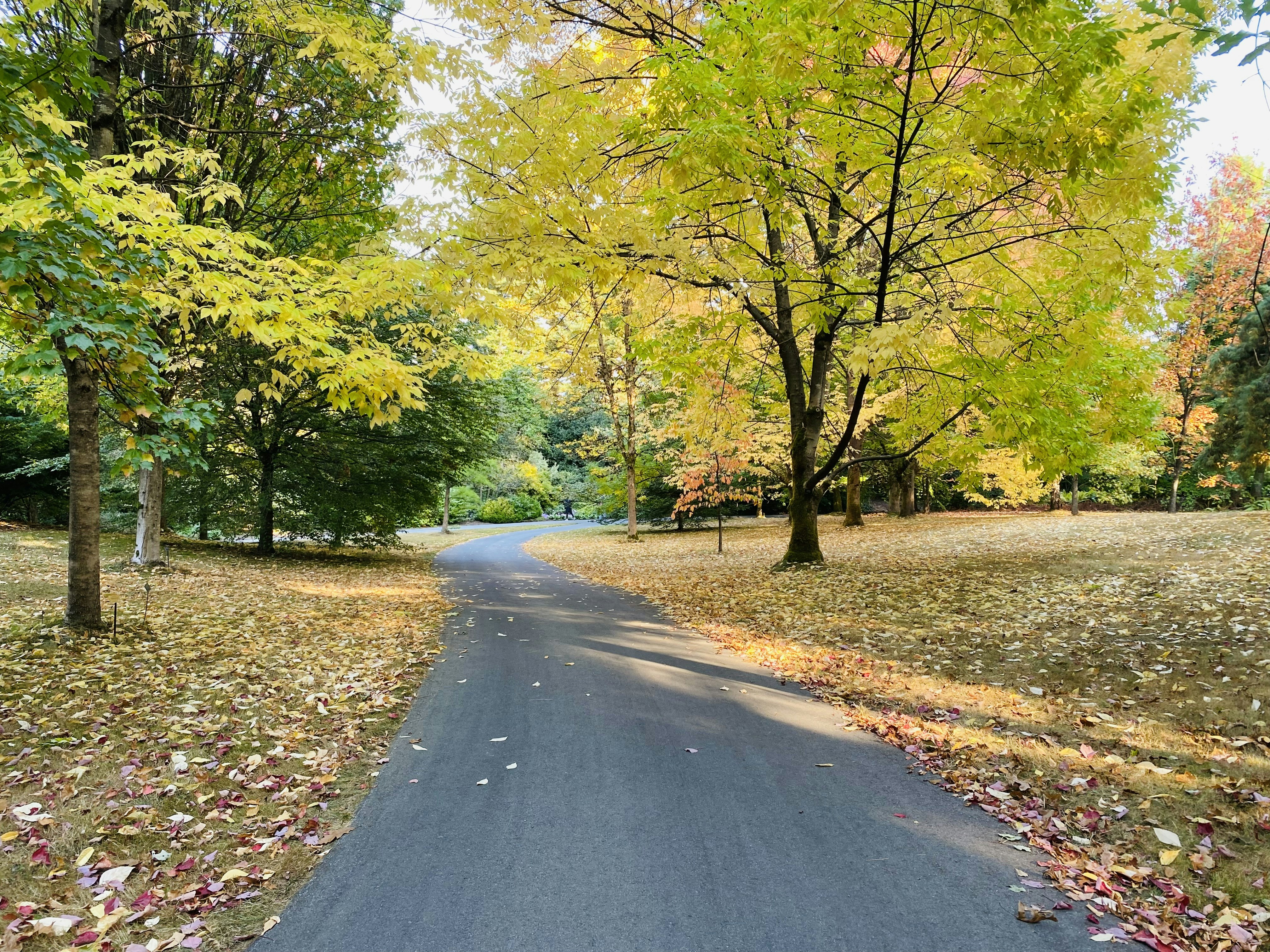 Photo by amithaeldhose