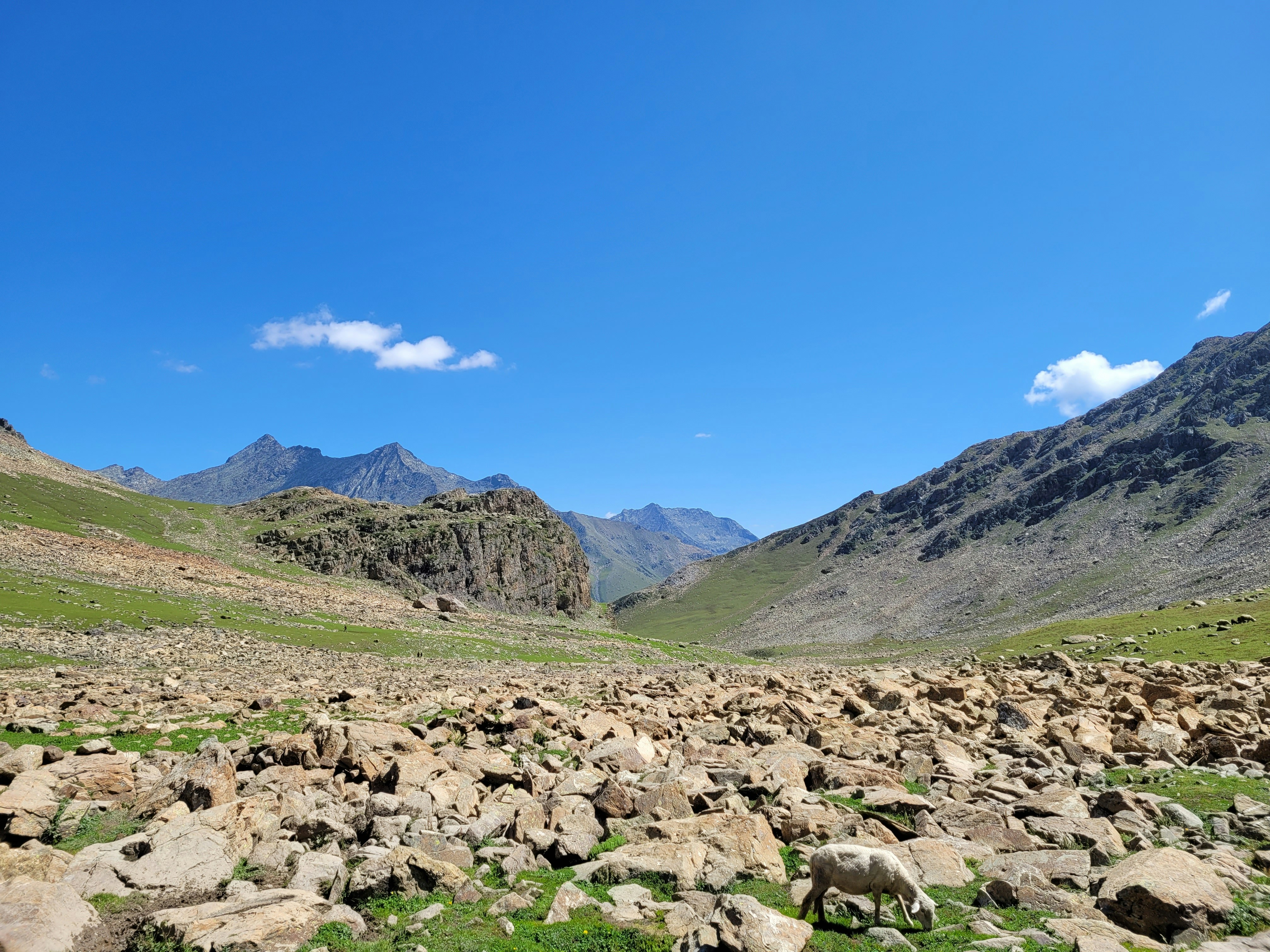 Photo by iamankurkhandelwal