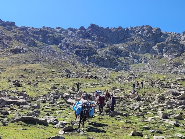 A rugged mountain landscape with rocky terrain and patches of green grass. Several people are seen leading pack animals laden with goods, presumably engaging in a trek or expedition. The scene is situated under a clear blue sky, with steep mountain slopes forming the background.